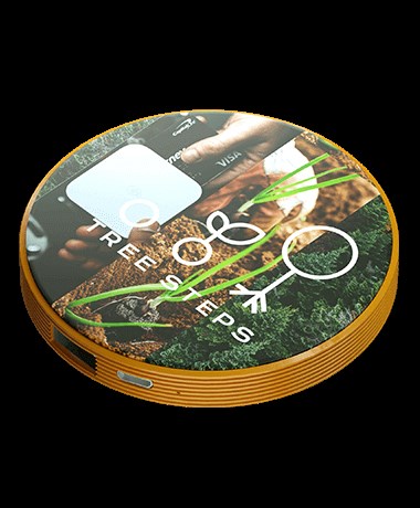 Sadesign