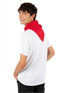 BANDANA
