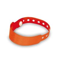BRACCIALE