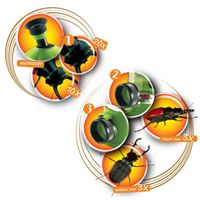 BUGGY