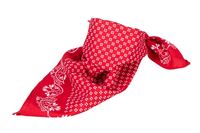 Bandana
