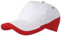 CAPPELLINO