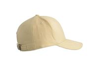 CAPPELLINO