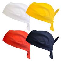 FOULARD/BANDANA