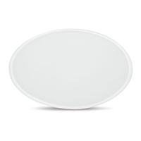 FRISBEE