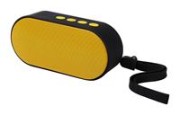 SPEAKER