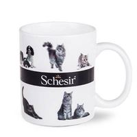 TAZZA
